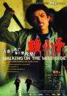 赖小子Walking on the Wild Side