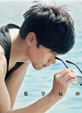 化学反应Hua Xue Fang Ying