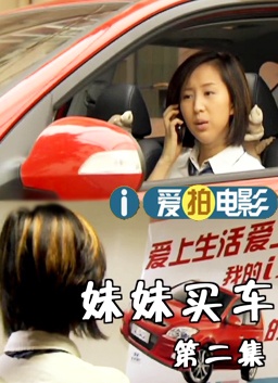 妹妹买车2