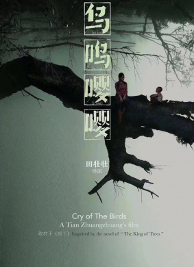 鸟鸣嘤嘤Cry of The Birds
