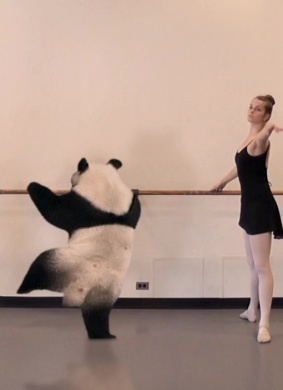 喷嚏熊猫Sneezing Baby Panda: The Movie