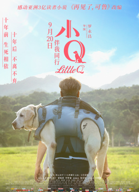 小QLittle Q