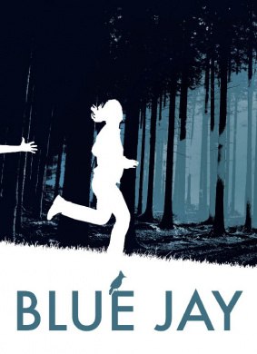 布鲁·杰Blue Jay