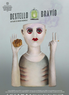 万能圣光Destello Bravío
