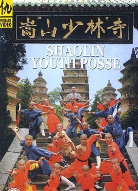 小和尚出马The Little Hero of Shaolin Temple